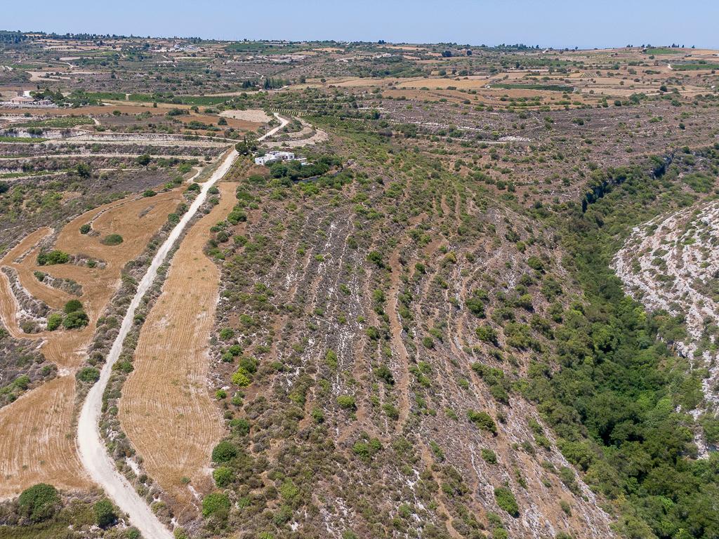 Field-Pano Arodes-PR43301