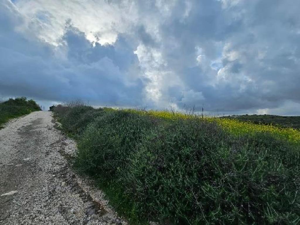 Field-Pano Arodes-PR43301