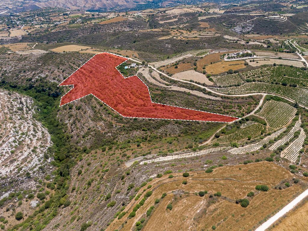 Field  - Pano Arodes, Paphos