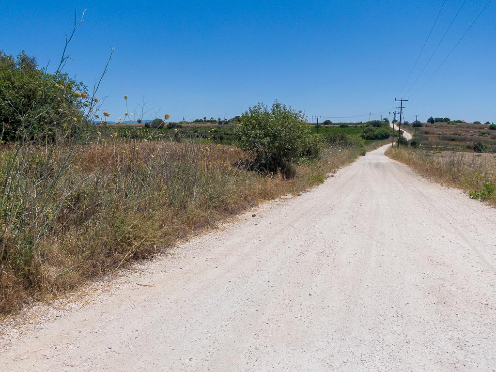 Field  - Pano Arodes, Paphos