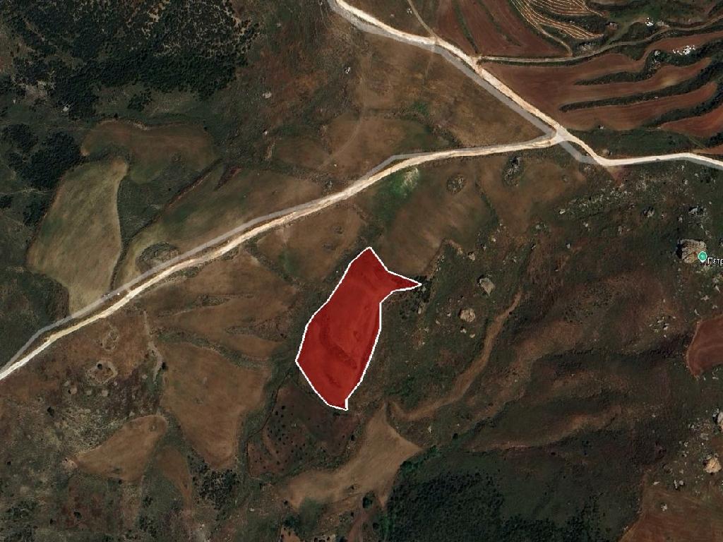 Field - Ineia, Paphos