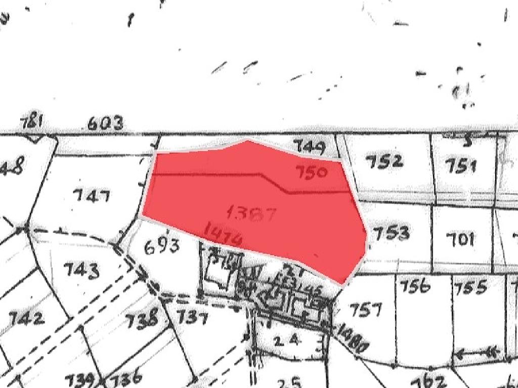 Field-Polemi-PR15286