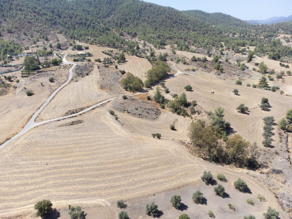 Field-Klirou-PR14827