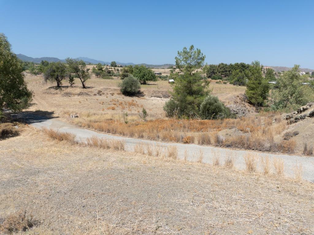Field-Klirou-PR14827