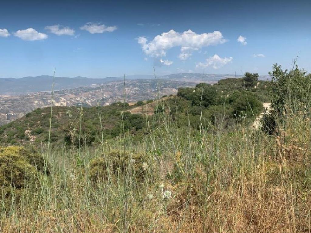 Field-Theletra-PR32769