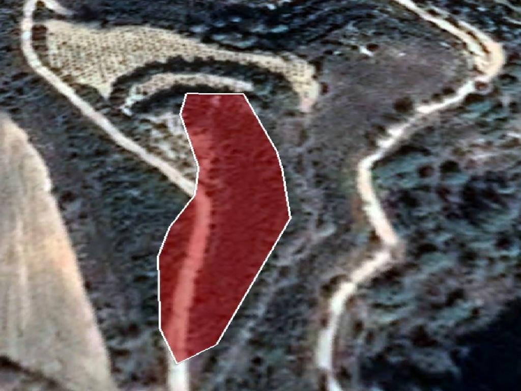 Field-Theletra-PR32769