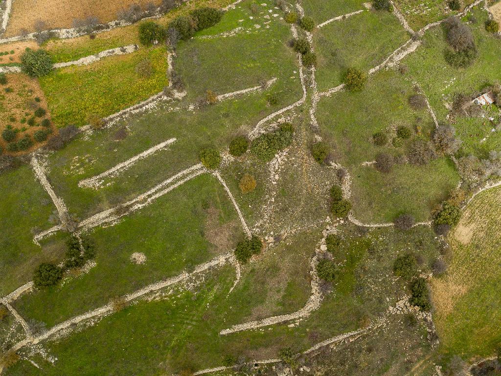 Field-Pachna-PR32918