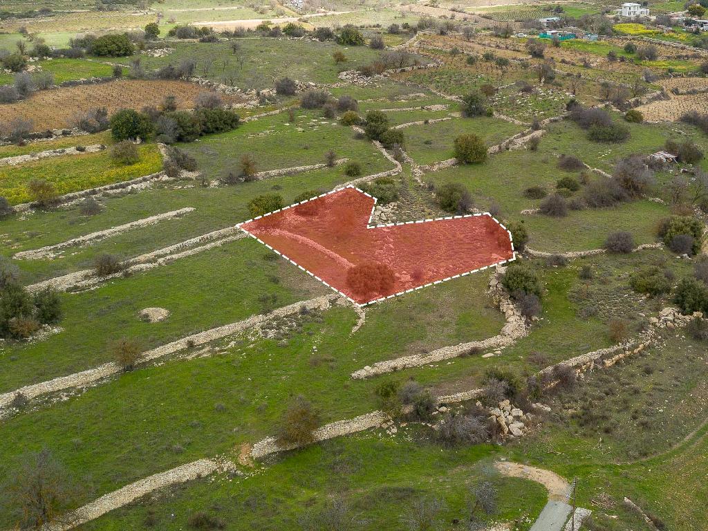Field-Pachna-PR32918