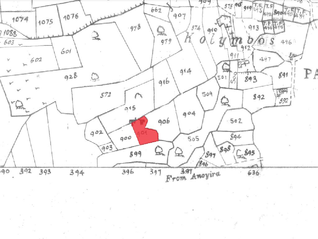 Field-Pachna-PR32918