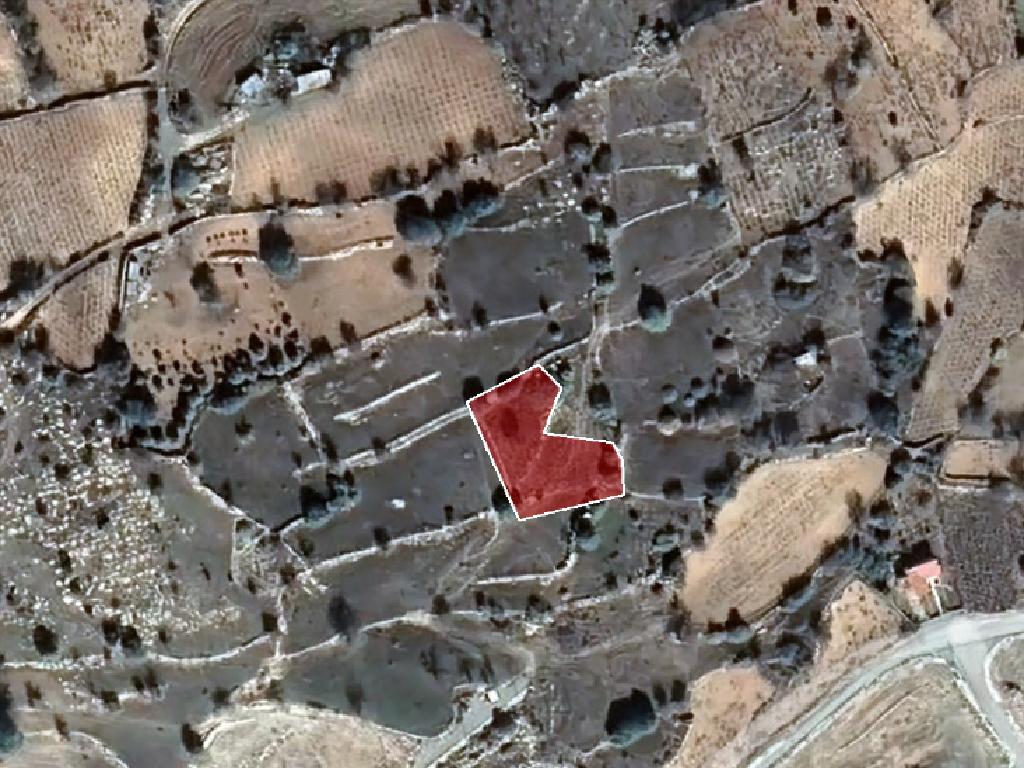 Field-Pachna-PR32918