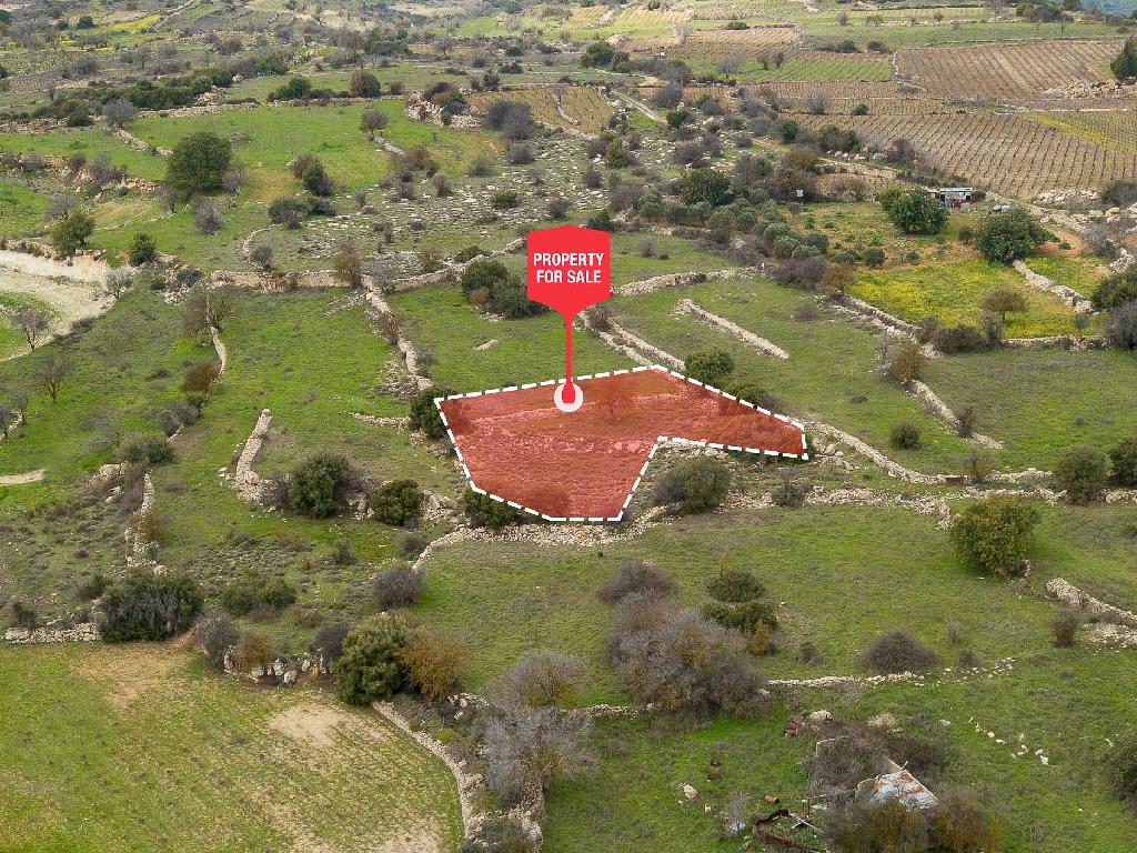 Field-Pachna-PR32918