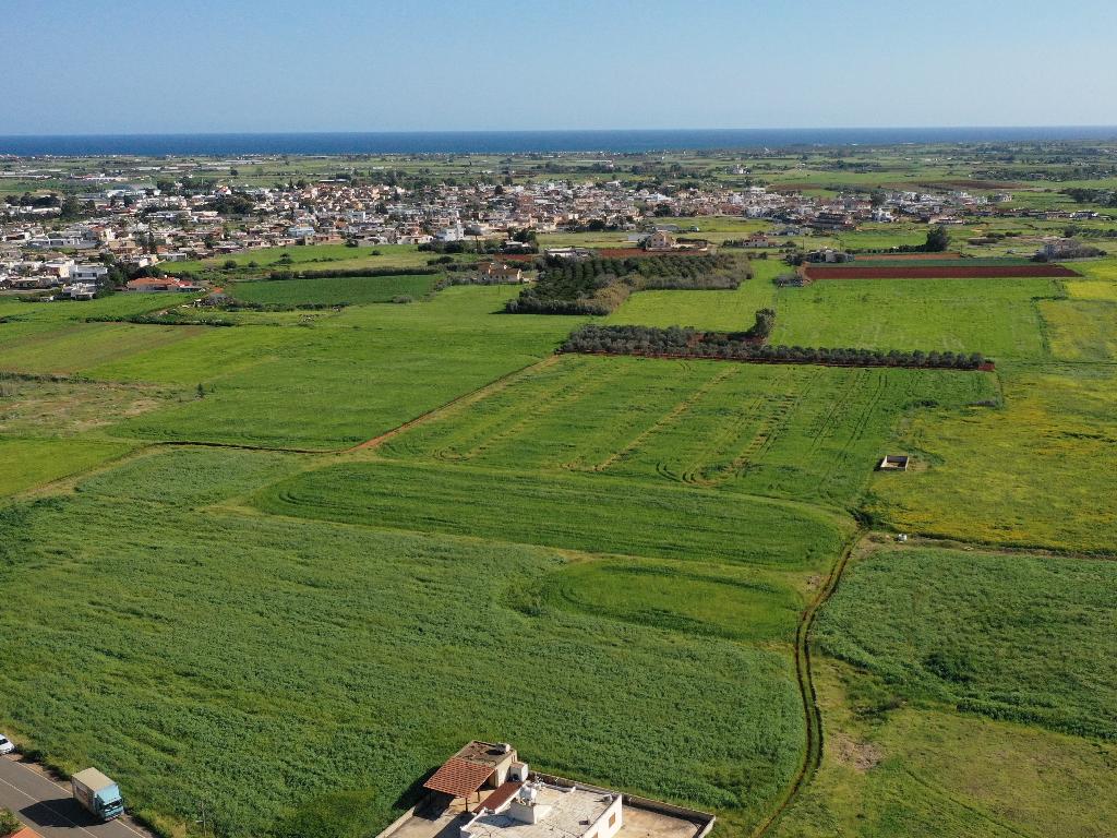 Field - Liopetri, Famagusta