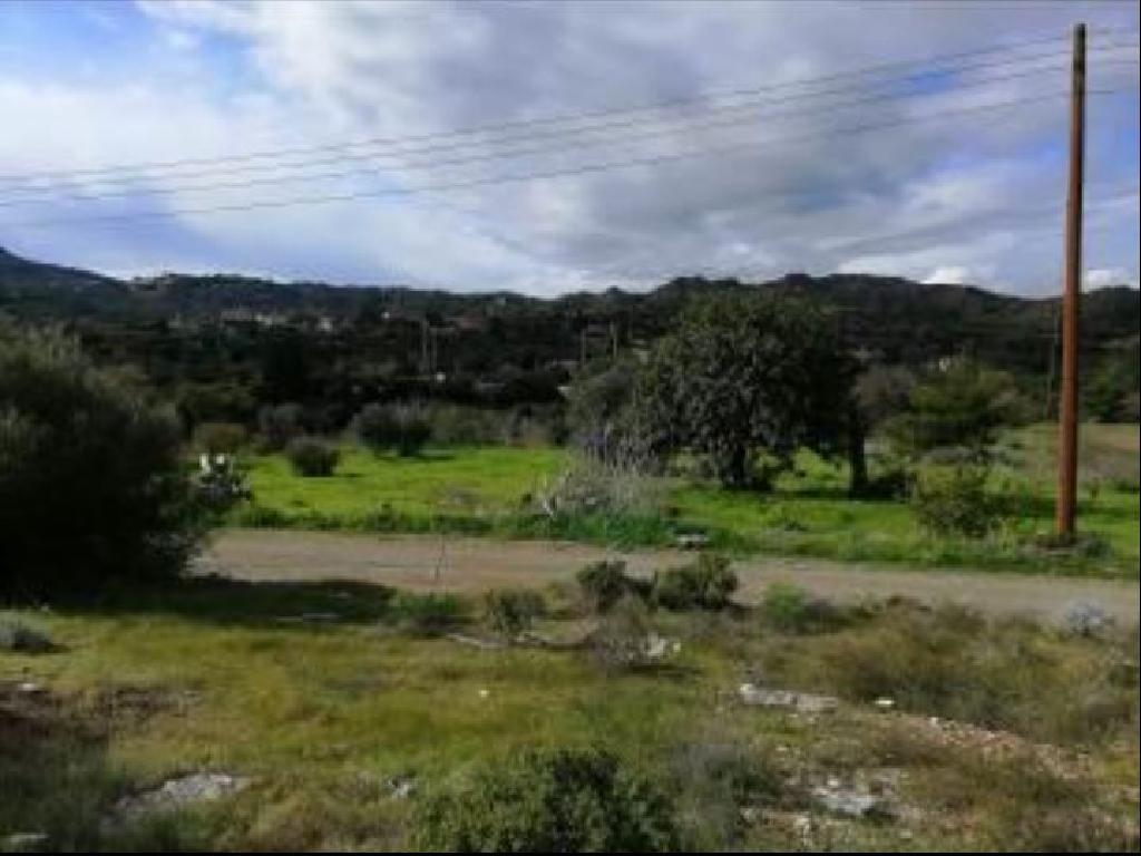 Field-Asgata-PR15306
