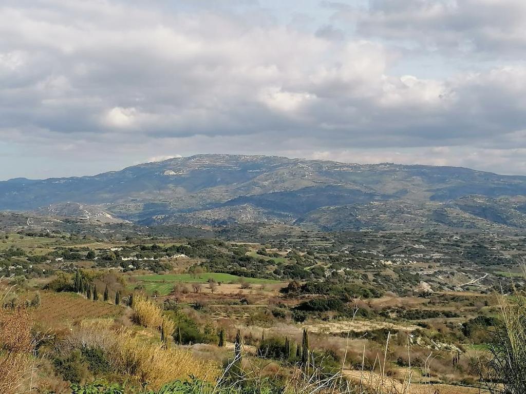 Field - Polemi, Paphos