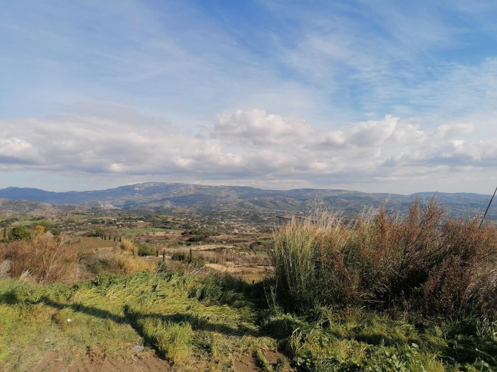 Field - Polemi, Paphos