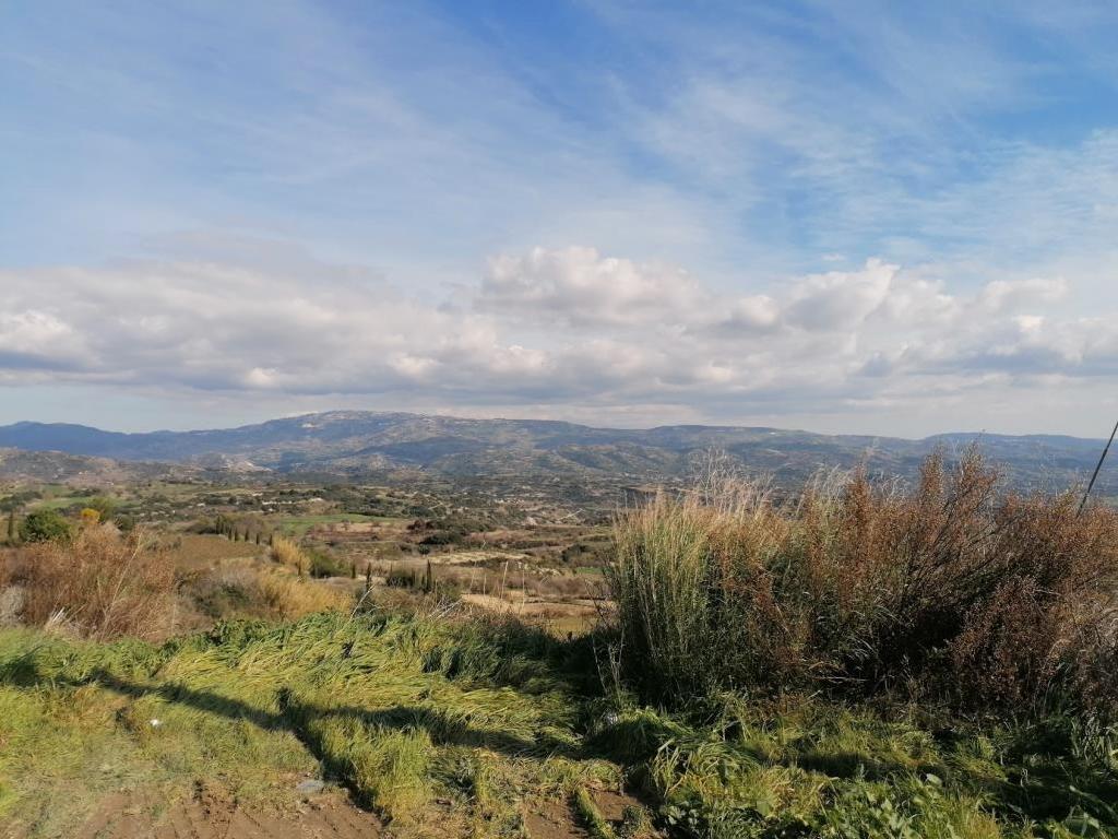 Field-Polemi-PR35875