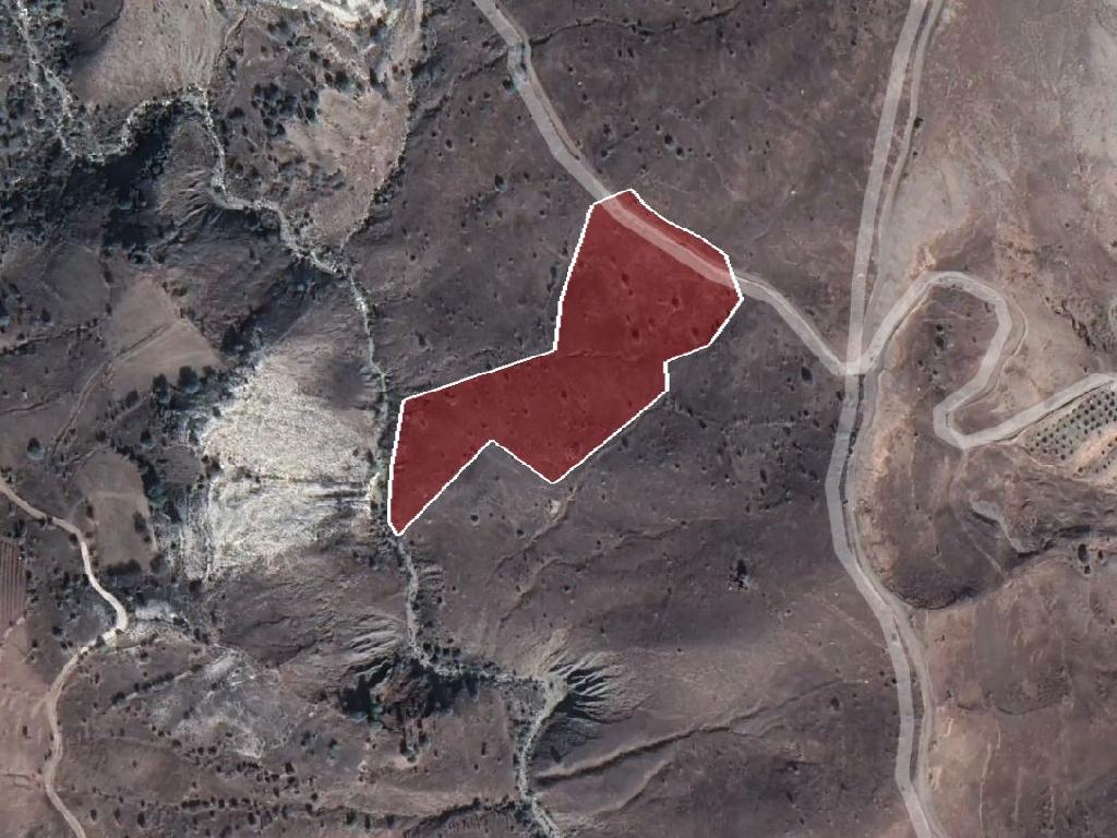 Field-Koilinia-PR35355