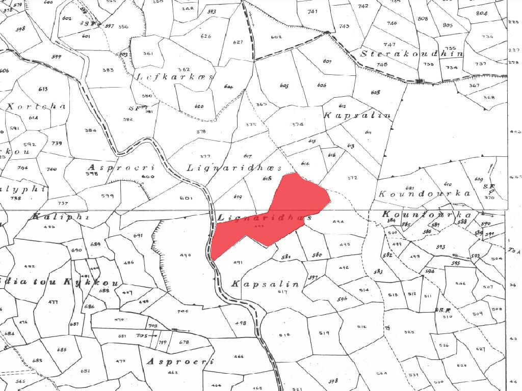 Field-Koilinia-PR35355