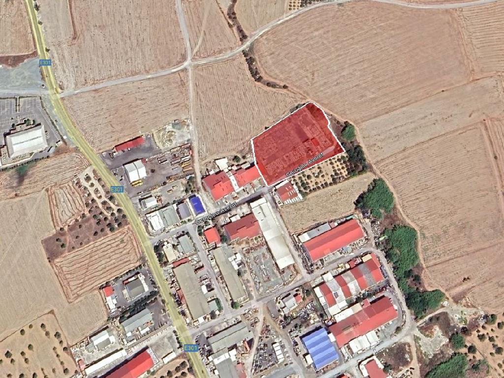 Field-Livadia-PR36853