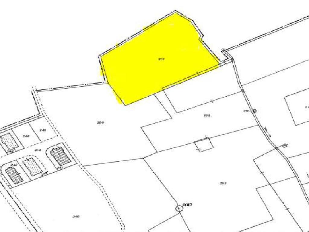 Field-Livadia-PR36853