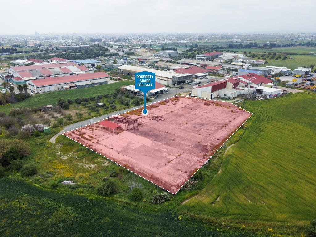 Field-Livadia-PR36853
