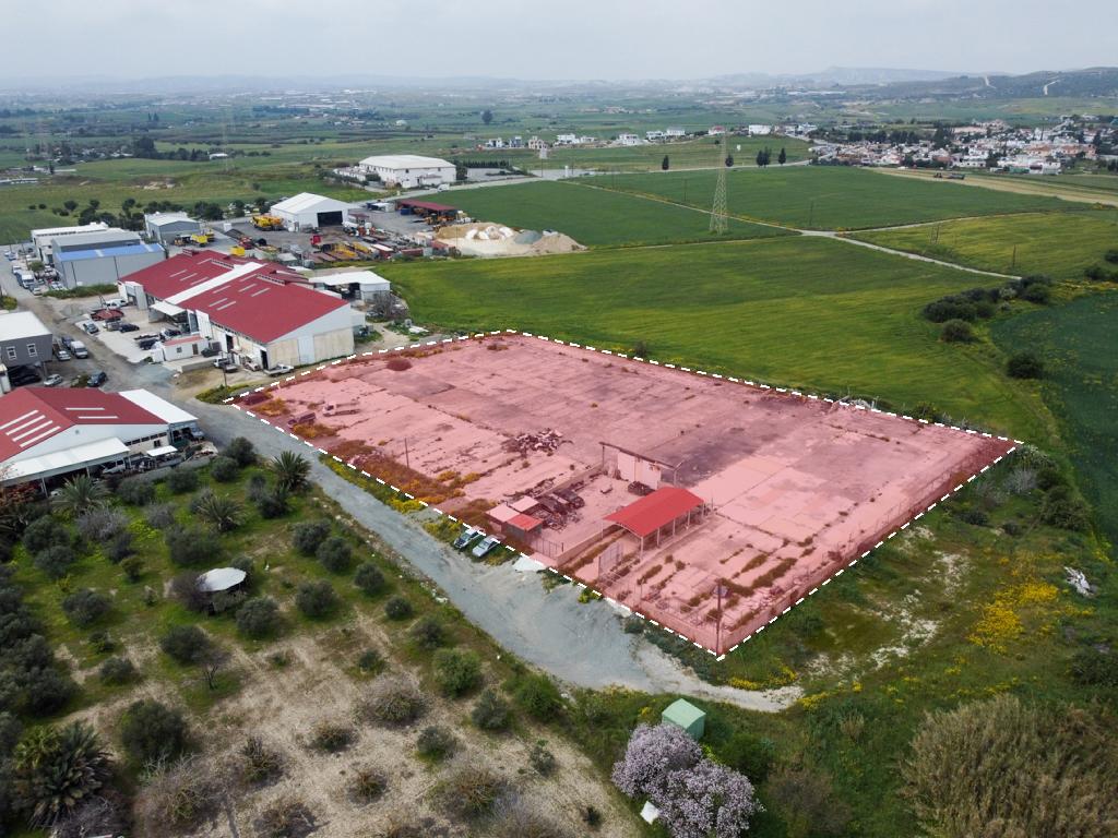 Field-Livadia-PR36853