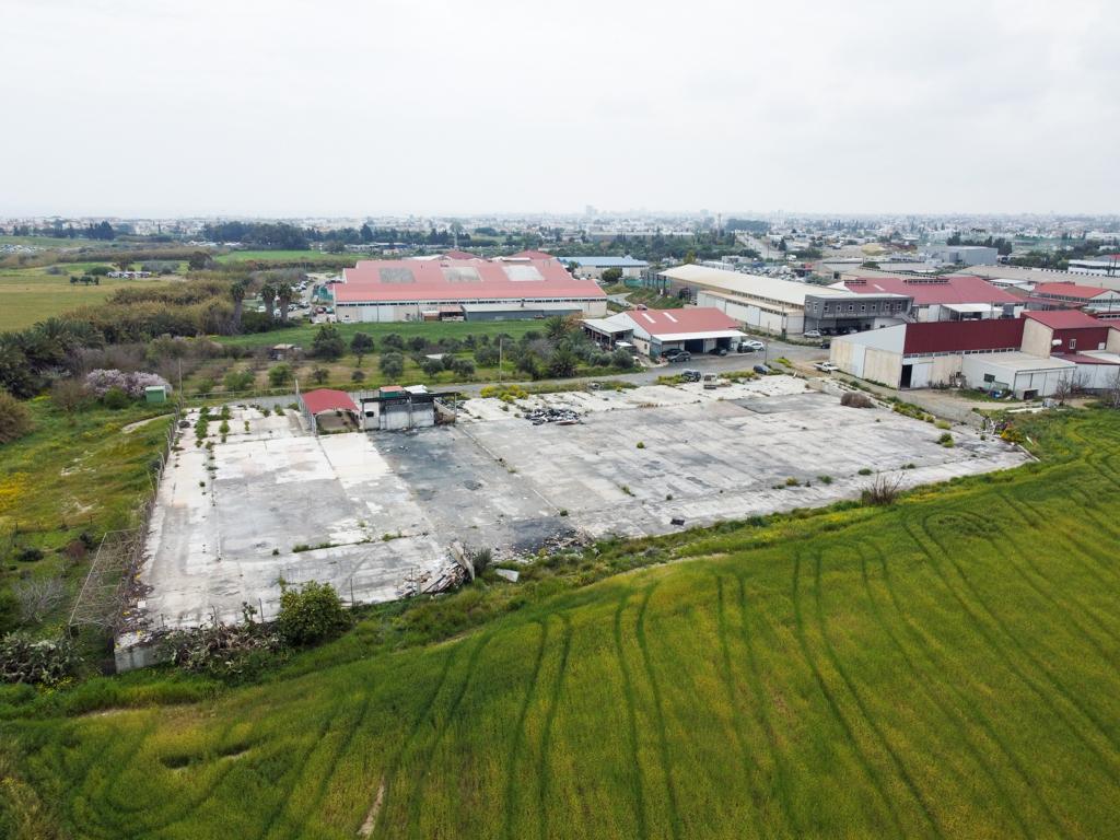 Field-Livadia-PR36853