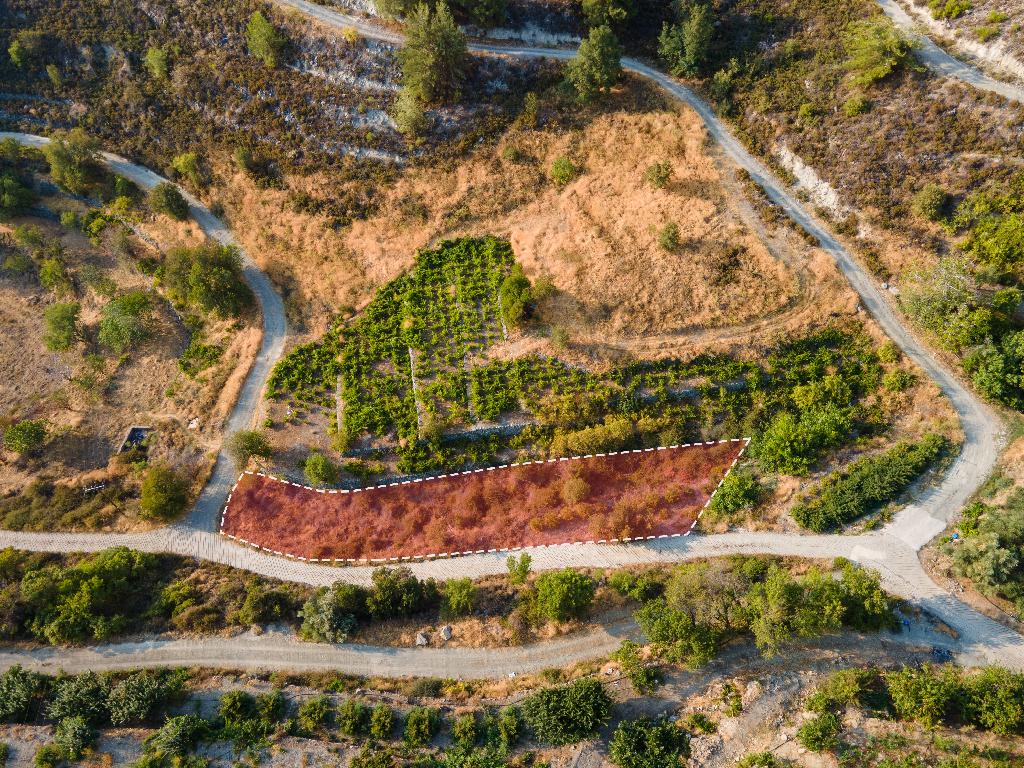 Field-Agros-PR36473