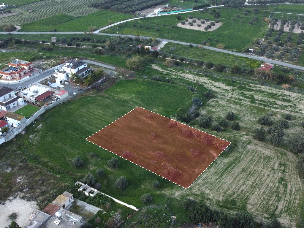 Field-Aradippou-PR35898