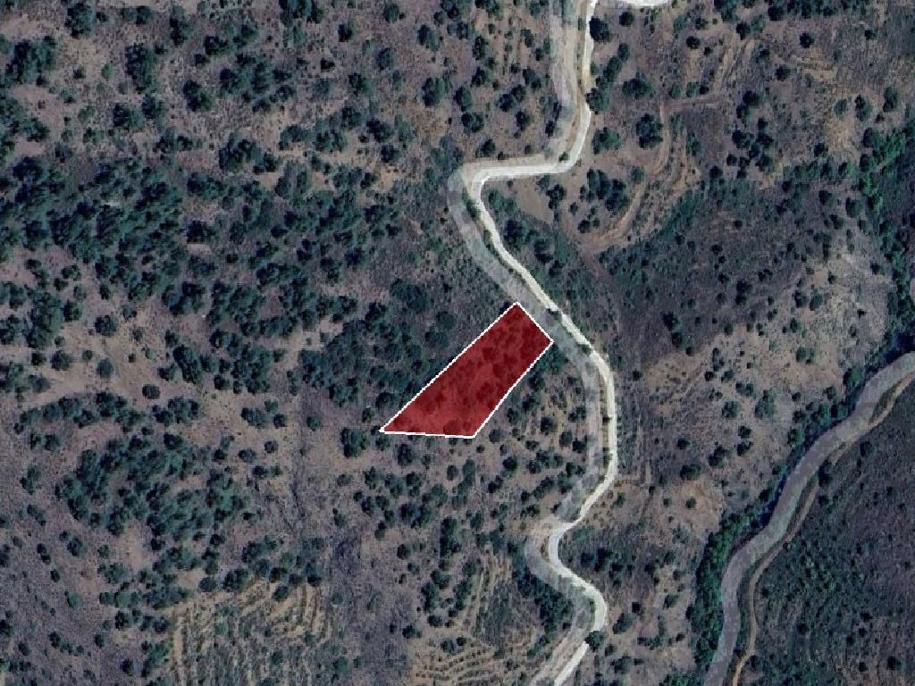 Field-Fterikoudi-PR38849