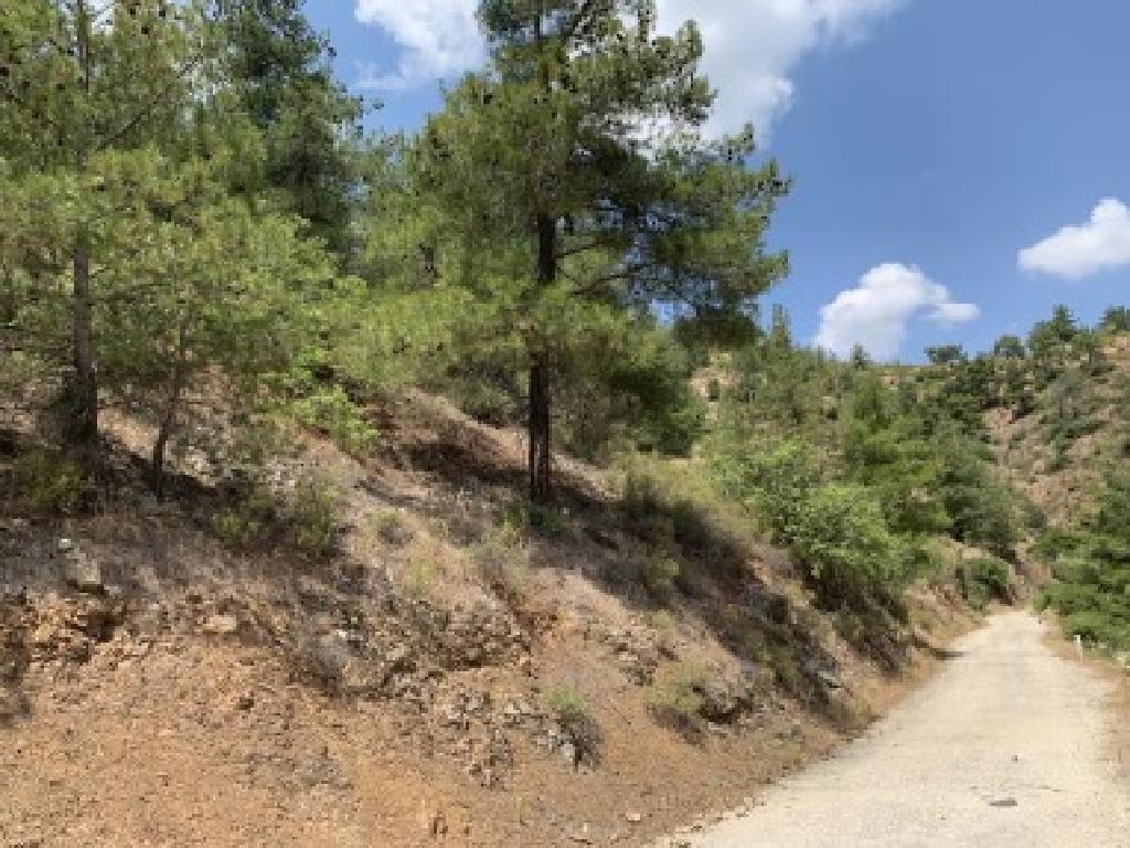 Field-Fterikoudi-PR38849