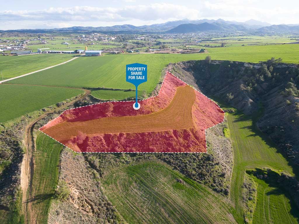Field (Share) - Malounta, Nicosia