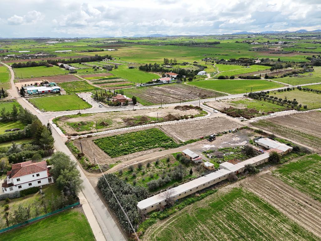 Field-Pano Deftera-PR39898