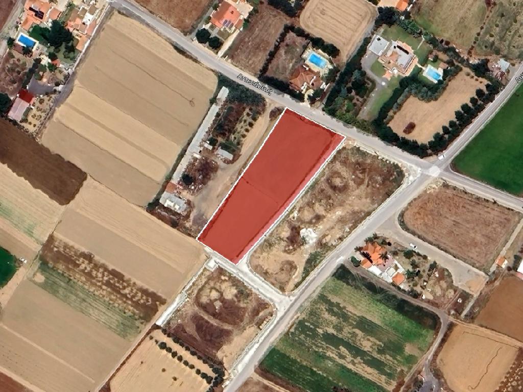 Field-Pano Deftera-PR39898