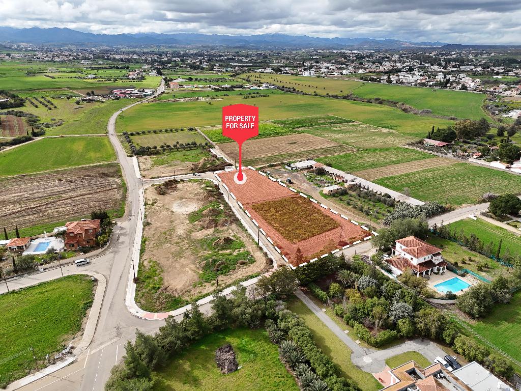 Field - Pano Deftera, Nicosia
