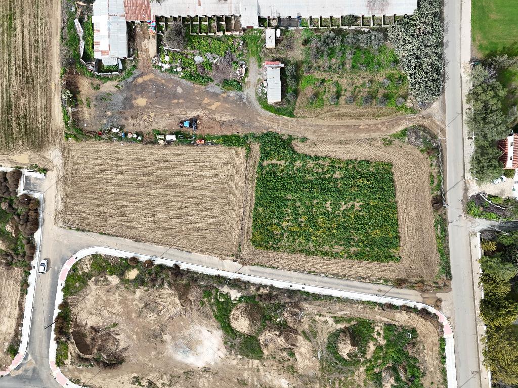 Field-Pano Deftera-PR39898