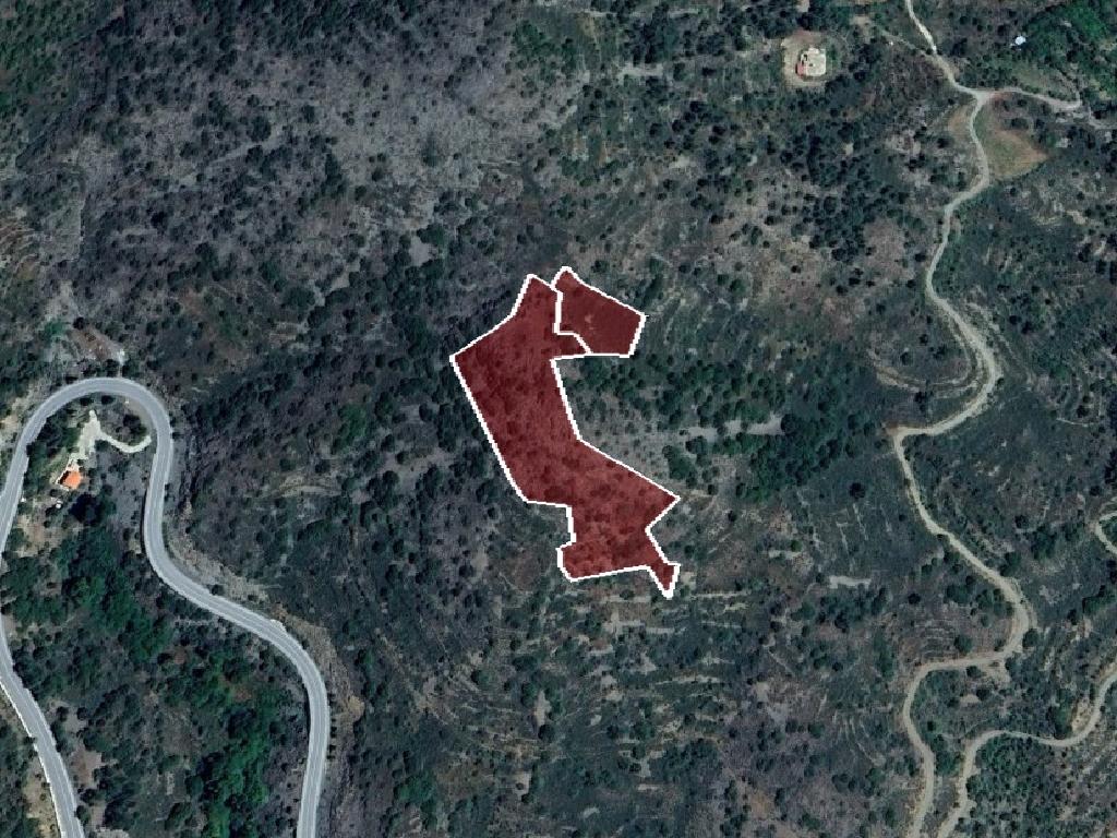 Field-Palaichori Morfou-CP10035