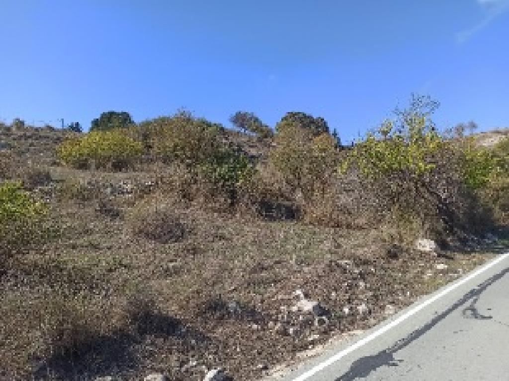 Field - Kritou Tera, Paphos