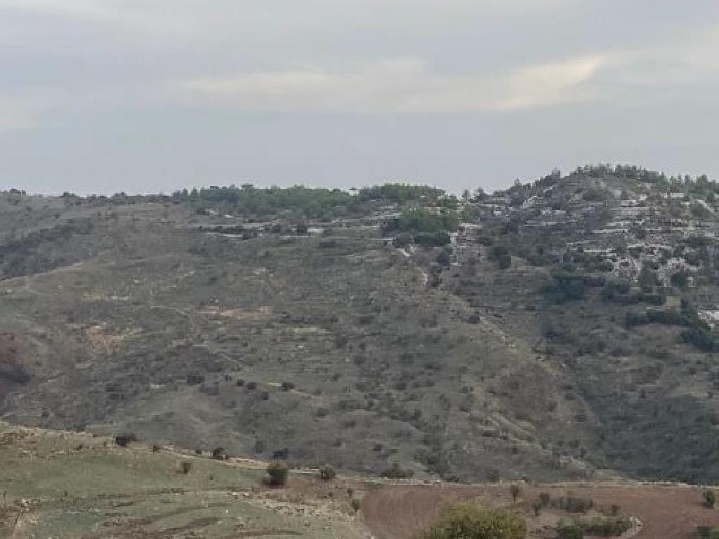 Field-Faleia-PR41347