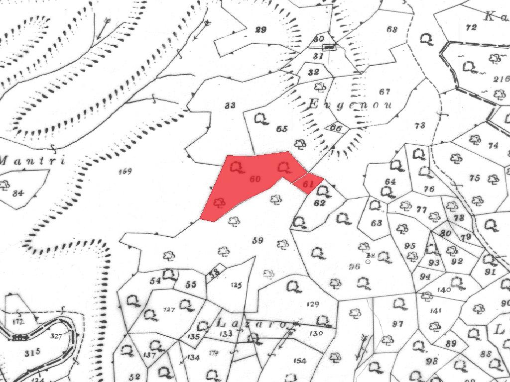 Field-Vavatsinia-CP10104