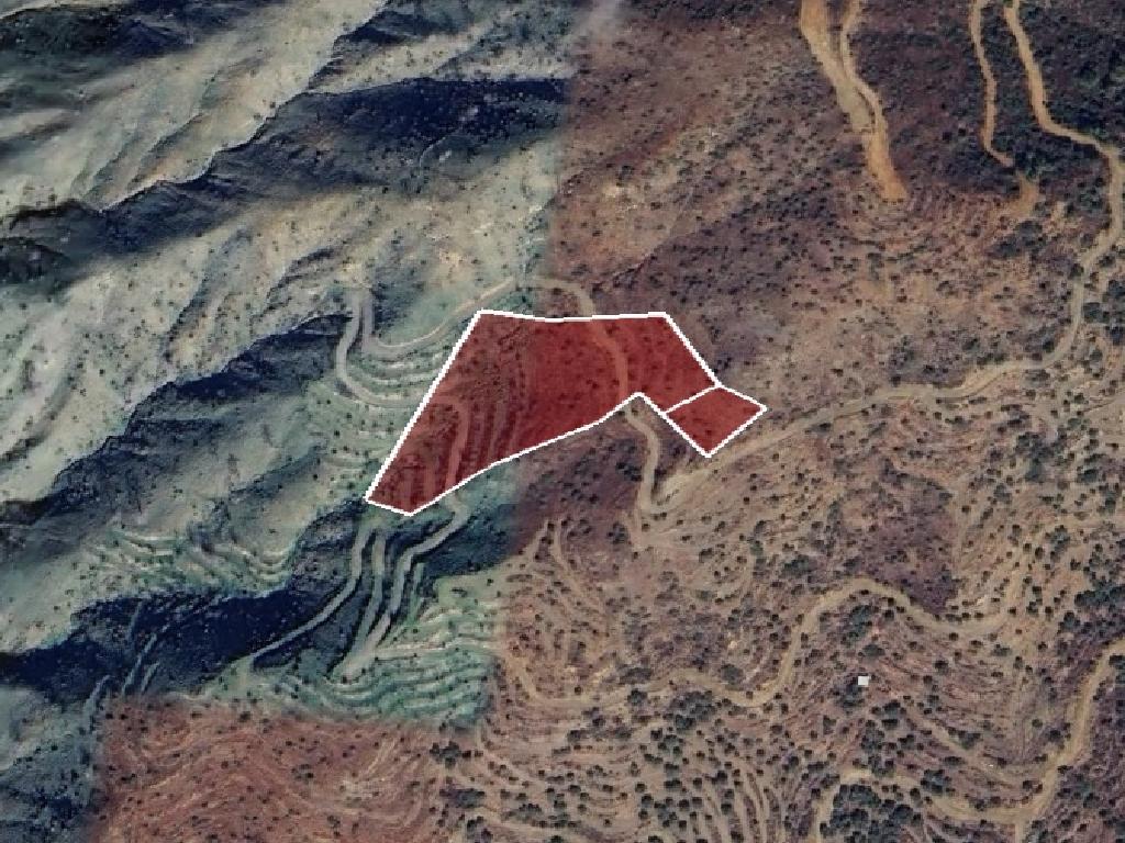 Field-Vavatsinia-CP10104