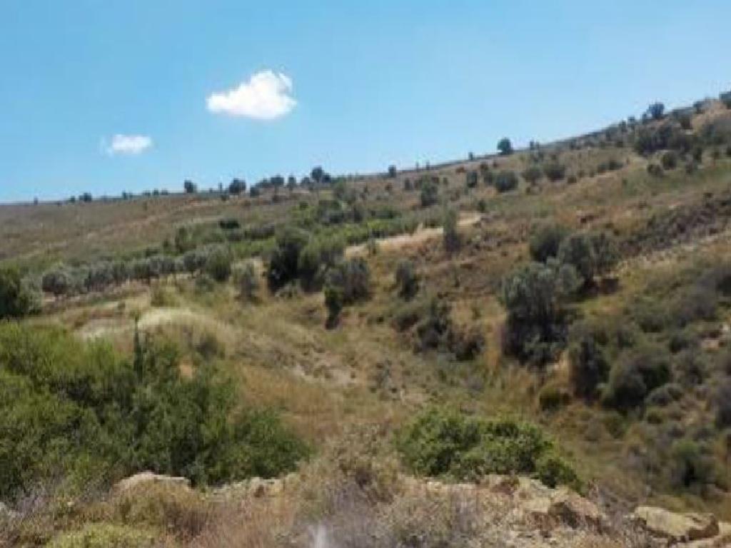 Field-Statos - Agios Fotios-PR42426