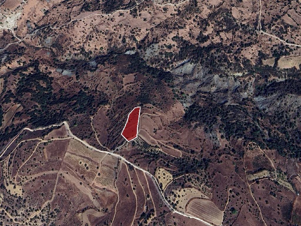 Field-Statos - Agios Fotios-PR42426
