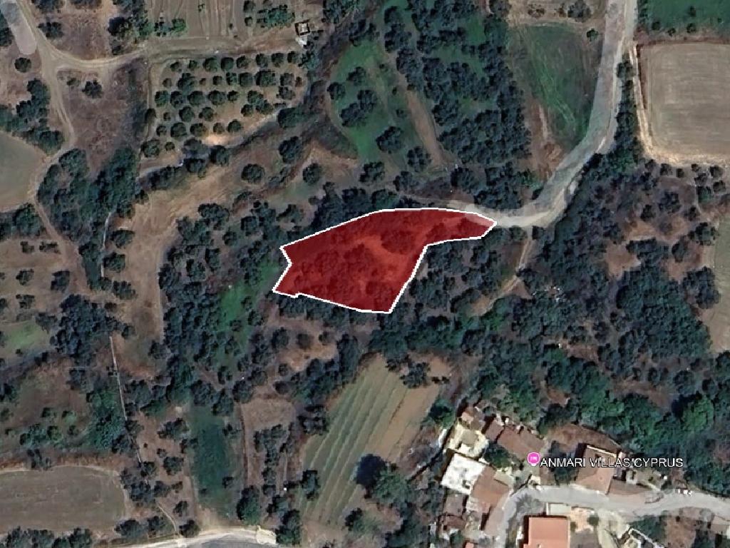 Field-Linou-PR42659