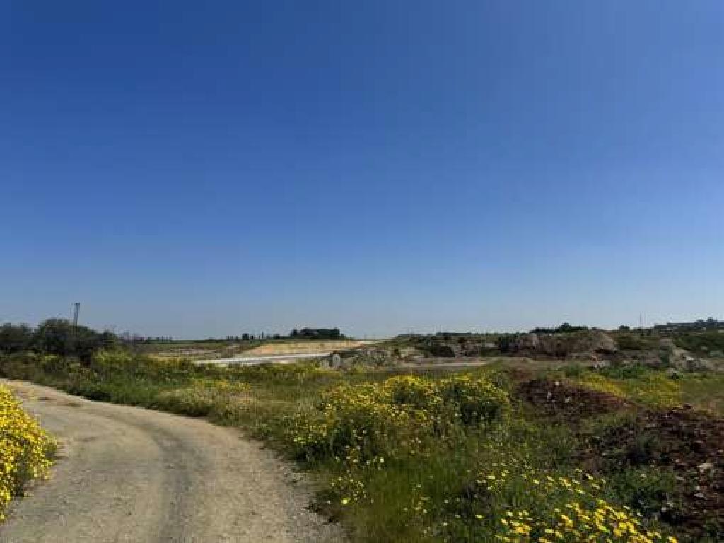 Field-Lakatameia-PR43060