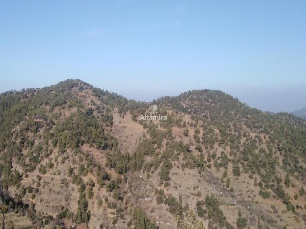 Field-Gerakies-CP10219