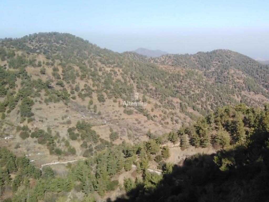 Field-Gerakies-CP10219