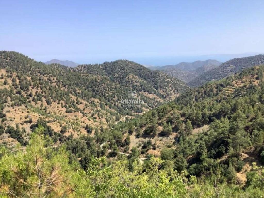 Field-Gerakies-CP10219