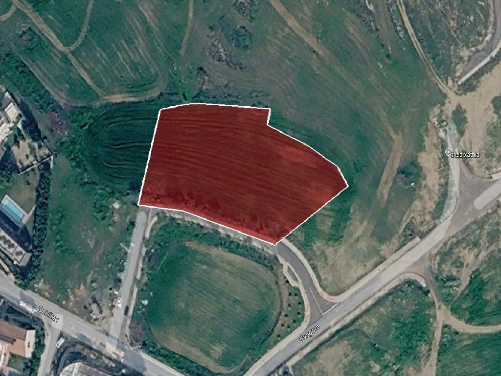 Field-Geri-PR44741