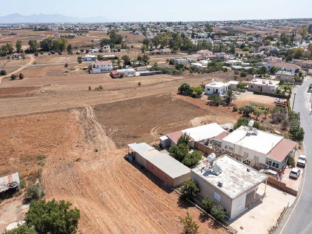 Field - Paleometocho, Nicosia